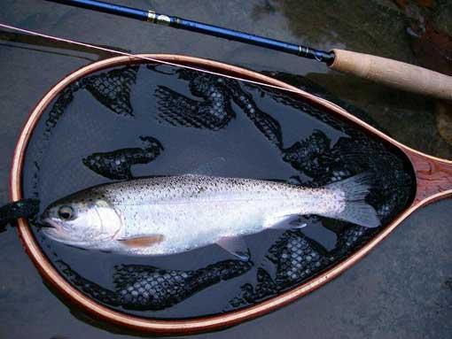 Ice たらしい Fishing Fisherman テント 釣り竿 フィッシュ